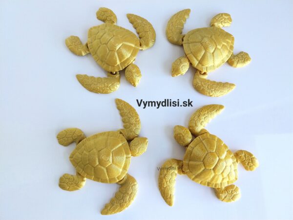 Projekt korytnačka - Image 2