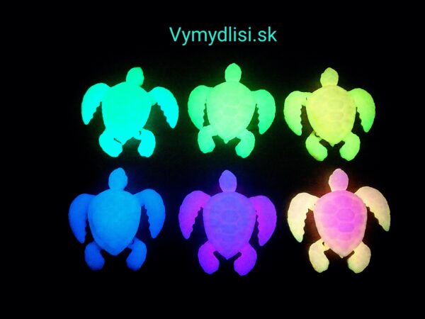 Projekt korytnačka - Image 4